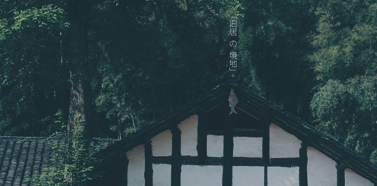 让王振彪又恨又怕，没有存在感的她，才是剧中最厉害的女人