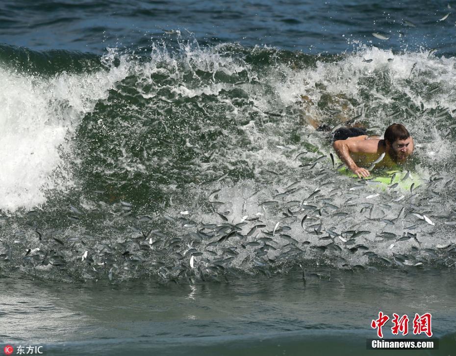 网剧《染指》男女主是谁:王钧浩、冯熙尧个人资料大揭秘