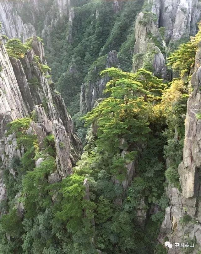 延熹攻略大换装