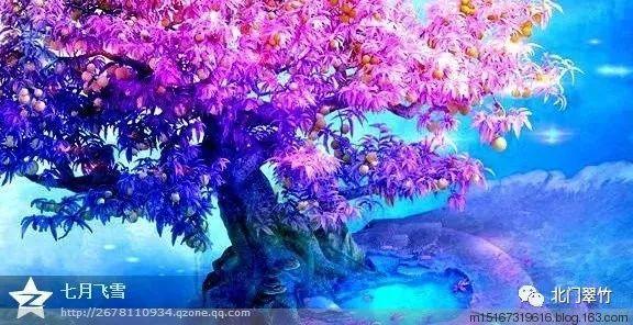老爹寿司店中文版